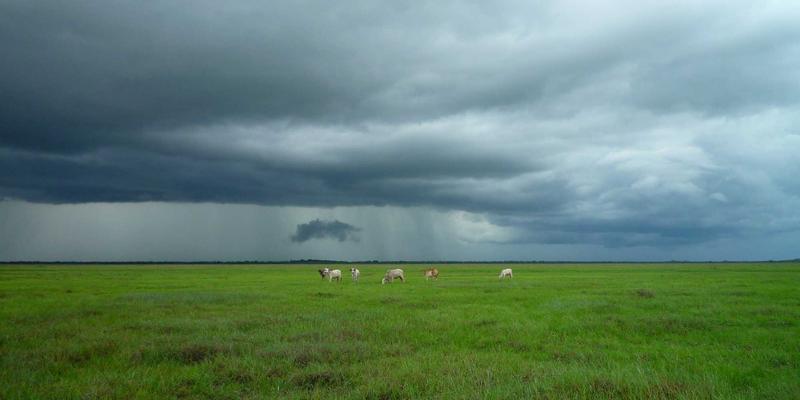 SIG旅游25：重新定义高端旅行，定制与特色如何重塑旅行未来