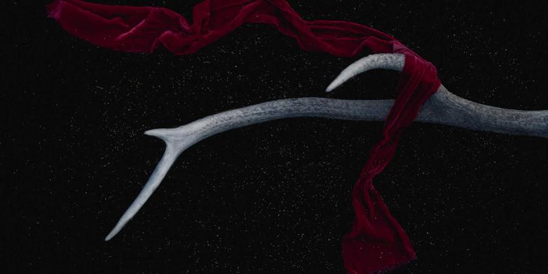 SIG旅游41：深度游与定制旅行的全新体验指南