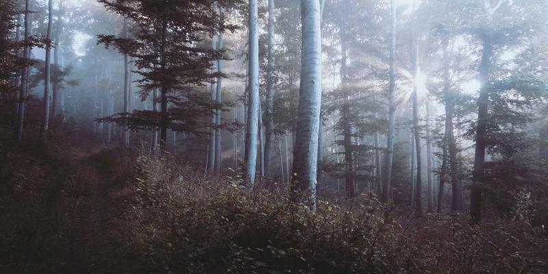 SIG旅游53：重新定义探险旅行，定制化深度游如何重塑旅行体验