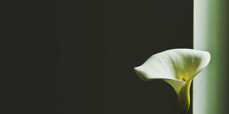 SIG旅游55：重新定义高端旅行，开启深度体验与特色探索的新纪元