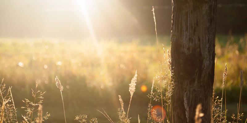 SIG旅游73：个性化、特色化与深度游如何重塑现代旅行体验