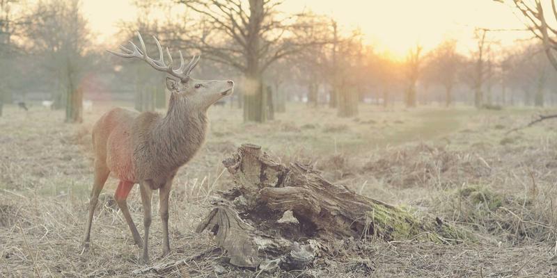SIG旅游8：开启个性化定制旅行的新纪元