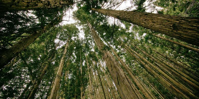 SIG旅游MICE解决方案：以定制旅行与探险体验重塑会议与奖励旅游