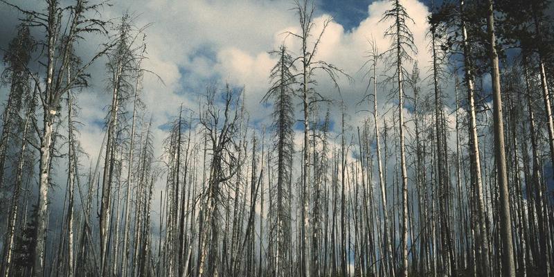SIG旅游：个性化高端旅行中的禅修与正念静修之旅，重塑身心平衡