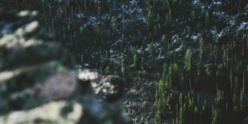 SIG旅游：为银发族打造安全与深度并重的文化遗产高端定制慢游路线