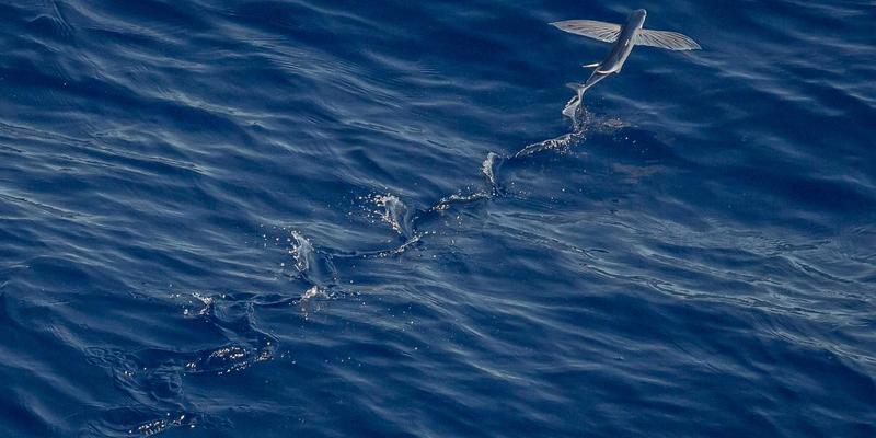 SIG旅游：以家族传承旅行为核心，打造融合家史探寻与价值观传递的个性化旅程