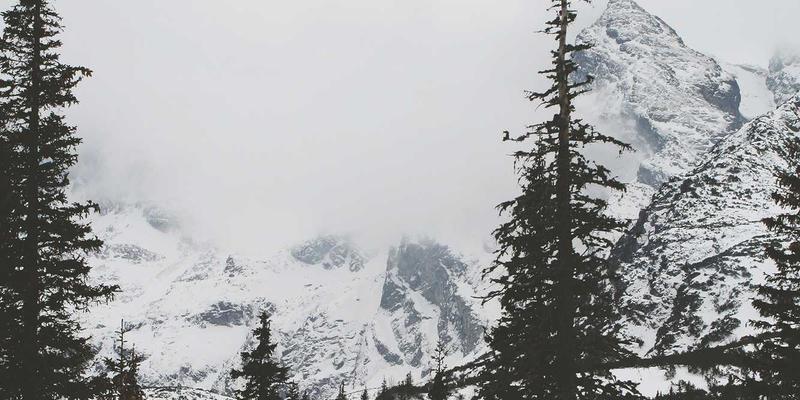 SIG旅游：以高端生物多样性研学旅行，重塑生态保护与深度体验的融合之道