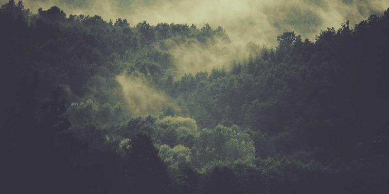 SIG旅游如何以科技创新重塑特色旅游与深度游体验