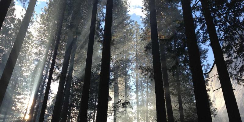 SIG旅游：探索特色旅游与深度游的可持续发展之路