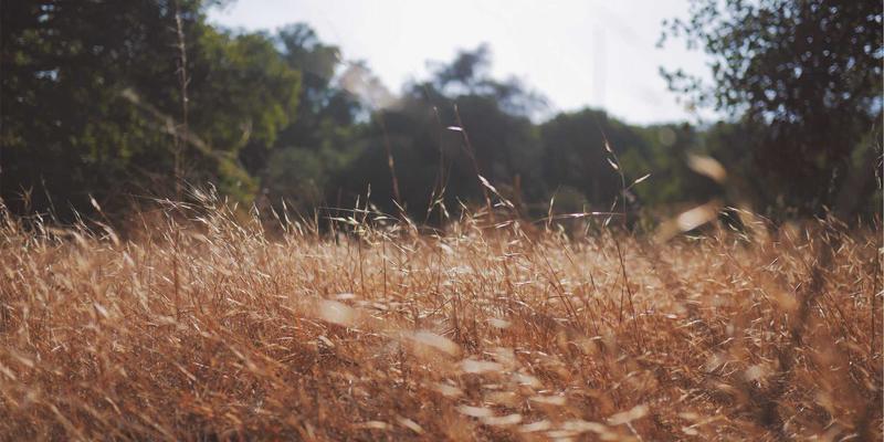 SIG旅游新范式：设计深度在地文化沉浸，与原著民社区共生的长期旅行项目