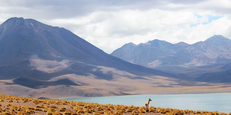 SIG旅游：重新定义个性化定制旅行，开启专属你的世界探索