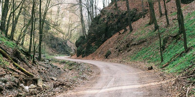 SIG旅游：重新定义深度游与定制旅行，开启个性化探索新时代