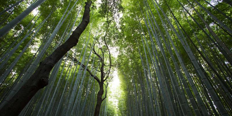 超越观光：SIG旅游如何以专业科考船与生态伦理，重塑极地与远洋深度游